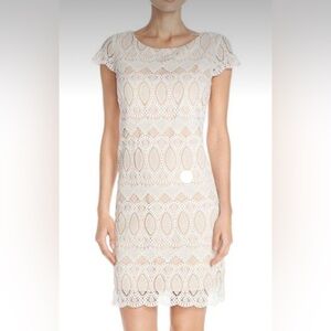 NWT White Lace Sheath Dress Eliza J Fully Lined Zip Up Back Size 8 Nordstrom